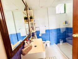 Windermere (D23), Condominium #596523641